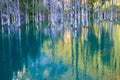 The sunken forest of Lake Kaindy.